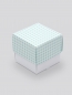 Preview: Geschenkbox kariert (mint)